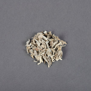 Sage Leaves